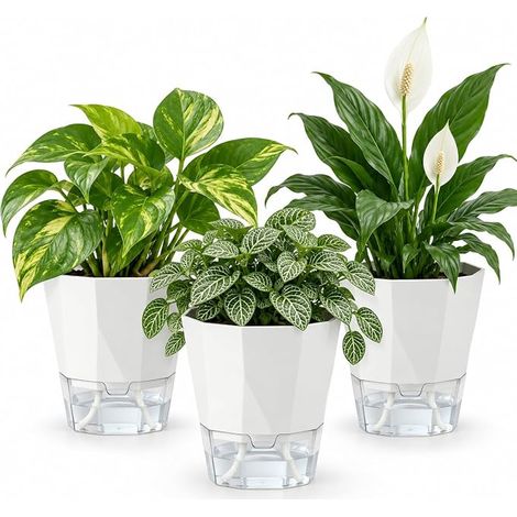 Self Watering Pots with Wick and Transparent Reservoir, Set White (1/5)