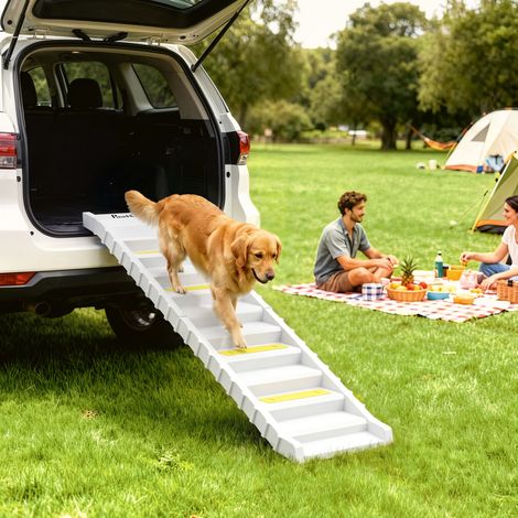 Rampe amovible pour chiens de voiture à 10 marches avec bandes et pieds antidérapants, Blanc (1/5)