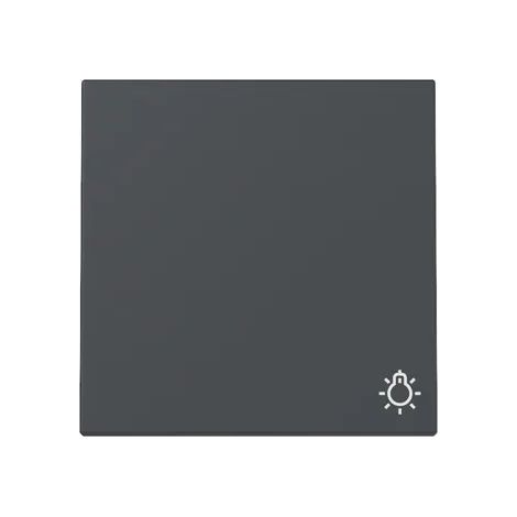 Gira Wippe Symb. Licht System 55 Anthrazit [328528], 3285 28