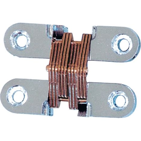Bisagra plastimo hinge acero inoxidable apertura 180 grados