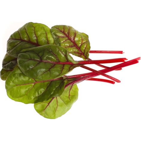 Semi di bietola da coste "Rhubarb chard" piante per orto e giardino coltivazione domestica e professionale