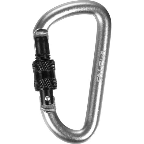 Mousqueton unisexe Salewa en forme de D argenté 00-00000341020999