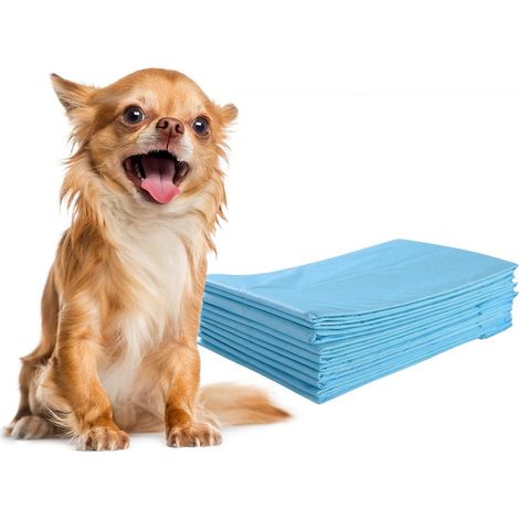 300 pieces dog training pads leak-proof 5-layer design 60 x 40 cm (1/5)