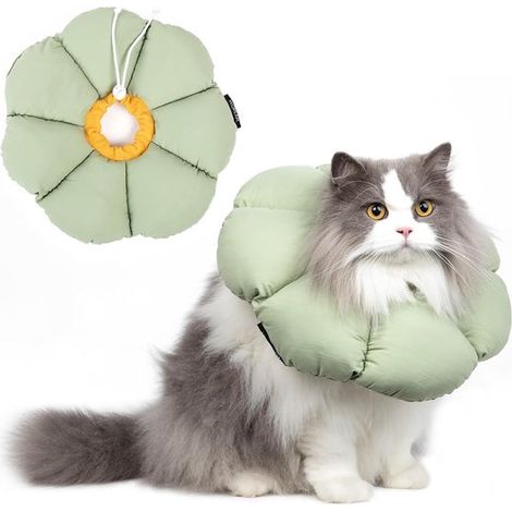 Collier de protection ajustable - Collier élisabéthain - Protection pratique pour le cou - Imperméable et anti-léchage - Collier conique pour chat - Taille M - Pour chats et chiots - Vert (1/5)