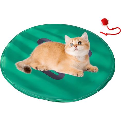 Jouet Interactif pour Chat - Balle Automatique avec Mouvement en Coque - (1/5)