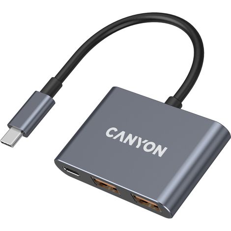 Canyon HUB DS-3 3 en 1 USB-C Gris oscuro (1/5)
