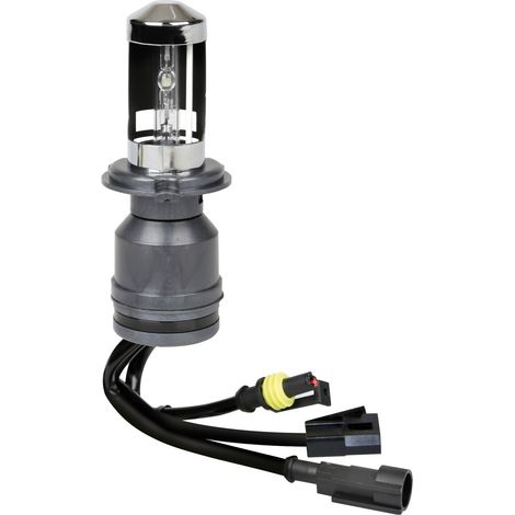 12/24V Lampadina HID Xenon 5.000K - H4 - 1 pz - Scatola (1/2)