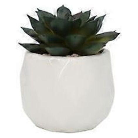 Plantes artificielles en pot, fausses plantes succulentes, mini fausses plantes dans des pots en céramique blanche, lot de 2 (PA03-5)