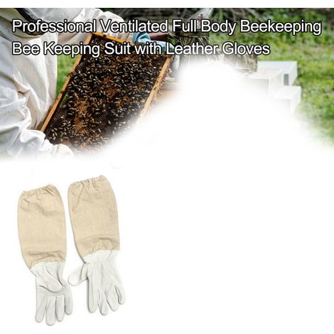 Gants d'apiculture en cuir de chèvre, respirants et confortables, avec poignet élastique, taille XXL.