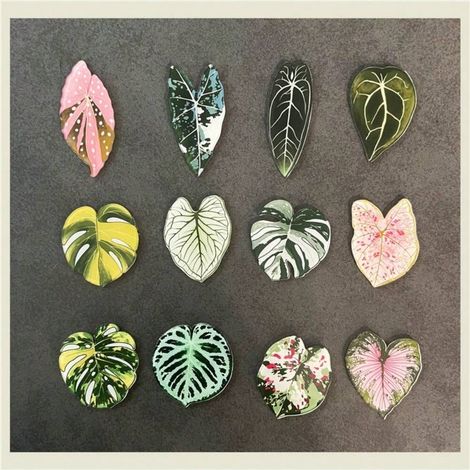 Aimants de réfrigérateur en forme de feuilles de plantes artificielles, décoration pour cuisine, bureaux, tableaux blancs, réfrigérateurs, 8 pièces, couleur (1/4)