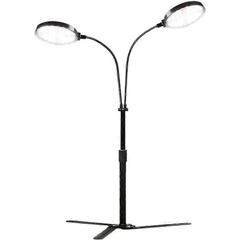 Vollspektrum-LED-Pflanzenlampen mit 6000K für Zimmerpflanzen (EU-Stecker) (1/5)