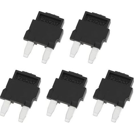 Lot de 5 Mini-fusibles Diodes 12182137 pour Circuit de Climatisation Automobile 21 X 14 Mm (1/5)
