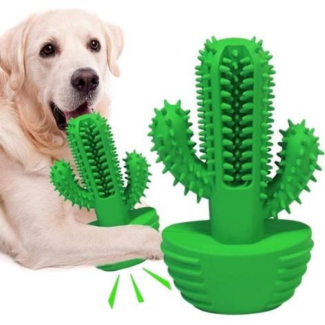 Jouet Chien - Non spécifié - Bâton de brosse à dents - Caoutchouc naturel - 10,5515,5 cm - Vert (1/4)