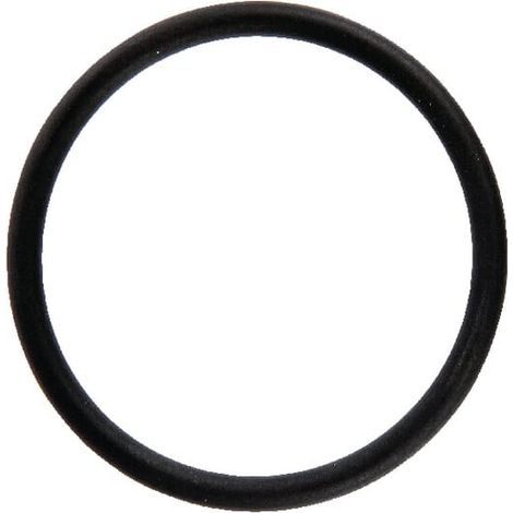 O-Ring 42,00x3,50 FKM 70 Amazone AMAZONE FC058