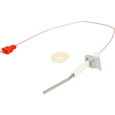 Electrode d'ionisatation