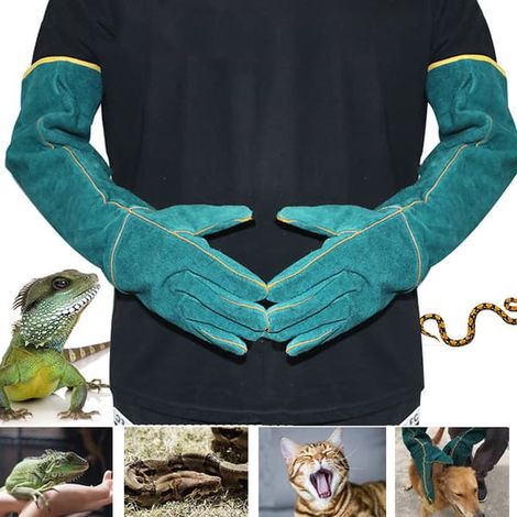 Gants de manipulation d'animaux anti-morsures, 62 cm, résistants et durables, pour le bain, le toilettage, la soudure et la manipulation de chiens, chats, oiseaux, serpents, perroquets et lézards. (1/5)