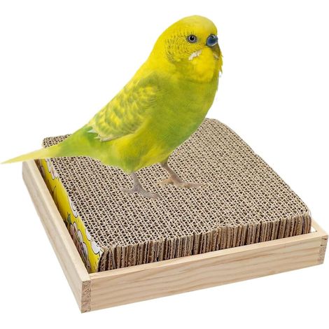 Perchoir pour perroquet - Entretien des griffes d'oiseaux en carton – Jeu (1/5)