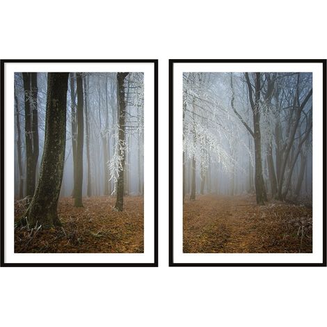 DIPINTI POSTER IN CORNICE 53x73cm Dittico Set di 2 dipinti Foresta autunnale P2093 (1/3)