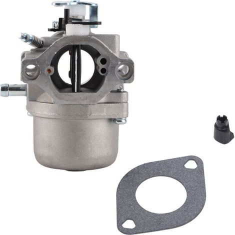 Carburateur moteur adapté pour Briggs & Stratton 285707, 289707, 28B705, 28M707 (1/5)