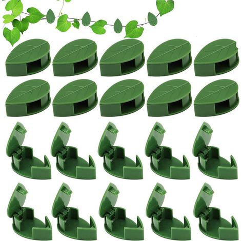 Pflanzenclips für Kletterpflanzen wand, 50 Stück Rankhilfehalter Pflanzenclips, wiederverwendbare unsichtbare selbstklebende klebrige Acrylhalterung für die Aufbewahrung von Gartenpflanzen Stängel (1/5)
