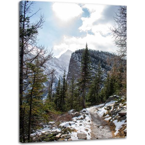 Leinwanddruck Natur Bergpfad Schnee 30x40