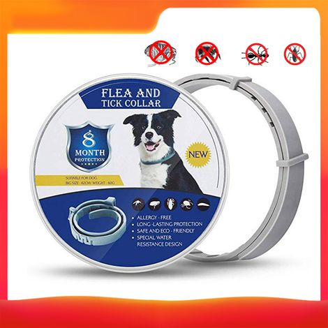 Collier vermifuge anti-insectes, anti-puces et tiques, colliers pour animaux de compagnie, pour chiens, chats, fournitures pour animaux de compagnie (1/5)