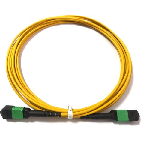 Elfcam - Câble Fibre Optique 12 Fibres MPO/APC Femelle 20m - Polarité Type B, Monomode OS2 pour 40G QSFP+, 100G QSFP28, 20 Mètres (1/3)