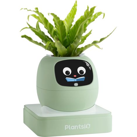 Ivy – Pot de fleurs intelligent pour décoration de la maison, compagnon, installation de bureau soignée, cadeau pour la maison, pot de fleurs pour animal de compagnie, robot guidant sur (1/5)