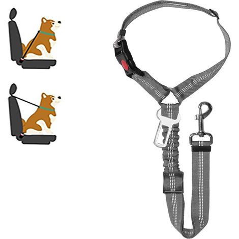Laisse portable pour chien avec cordon réfléchissant réglable pour les sorties, grise, taille standard. (1/5)