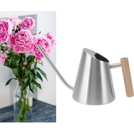 Arrosoir à long bec pour plantes grasses, arrosoir ménager, manche en bois, arrosoir en acier inoxydable, outil de jardinage, couleur acier inoxydable (1/5)