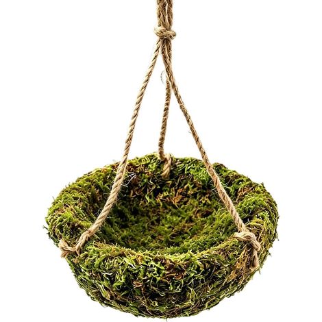 Hamaca para reptiles para dragón barbudo - Enriquecimiento estético para colgar, hamaca para reptiles con montaje en terrario - para razas pequeñas y medianas de camaleones y lagartos, descansar, juga (1/5)