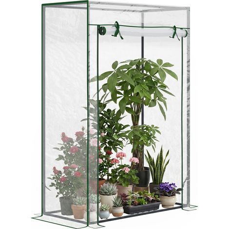 Serra con porta avvolgibile e struttura in acciaio, serra da giardino per terrazza o patio, 100 x 50 x 150 cm, trasparente (1/5)
