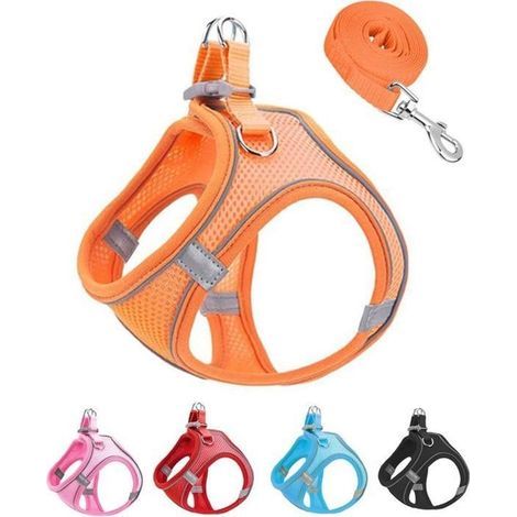 Set composto da pettorina e guinzaglio in morbida rete arancione, taglia S, pettorina a prova di fuga per cuccioli, ideale per passeggiate tranquille (Arancione, S) (1/5)
