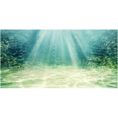 Aquarium Background Aquatic Plant Bubble Underwater Ocean Floor Aquarium Poster Backdrop Vinyl Background (1/5)
