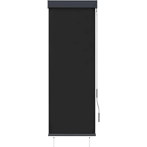Store roulant d'extérieur 60 x 250 cm Anthracite