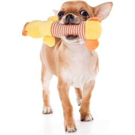 Un jouet pour chien, un jouet pour chien qui couine, un jouet de dentition pour chiot (canard jaune). (1/5)