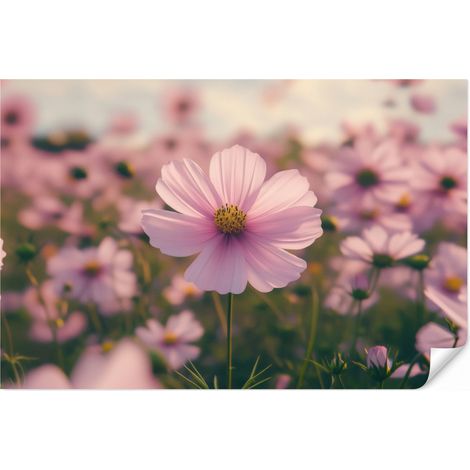 Carta da Parati Fiori - Viola - Sfumato 400x280 cm (1/5)