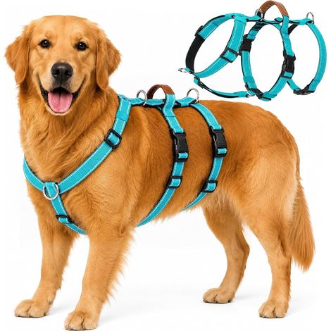 Harnais Anti-Fugue pour Chien, Harnais Anti Traction pour Chien (1/5)