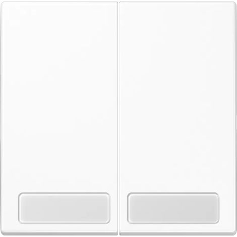 Jung Wippe Schriftfeld aws LS 995 NA WW (1/2)