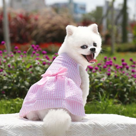 1 robe d'été à carreaux pour animaux de compagnie - Jupe à nœud papillon pour chien / Jupe princesse pour chat - Bichon Teddy - Vêtements pour petits chiens (1/3)