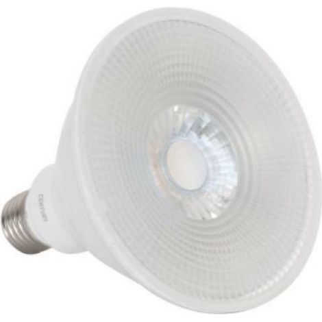 Jahrhundert lampenspot gefÜhrt par 15w e27 3000k par38-152730 (1/2)
