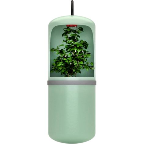 Fuente de agua, enchufe europeo, caudal regulable, para lagartos y camaleones. (1/5)