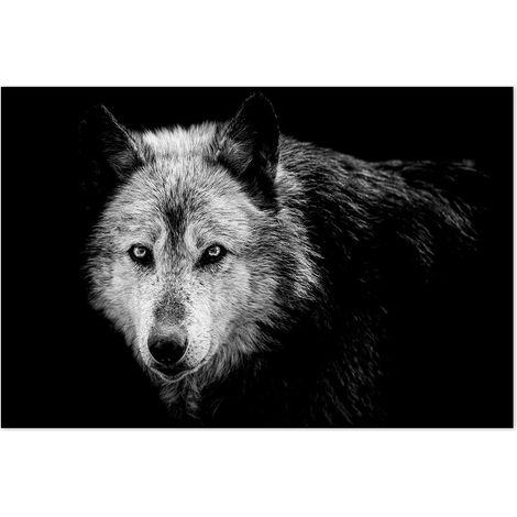 Affiche Loup close up - 60x40cm - made in France (1/5)