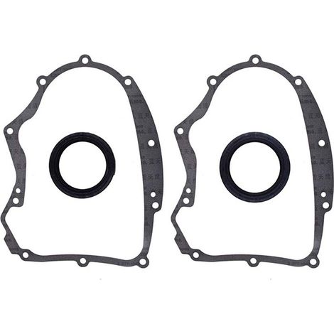 Kit de joint de carter Briggs & Stratton 594195 - remplace 273488 690945 (1/2)