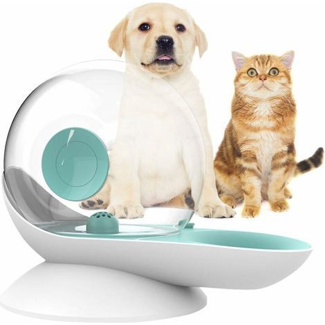 Wasserspender für Katzen und Hunde, Schwerkraft-Wasserspender für Katzen, Schneckenform, automatischer Trinkbrunnen für Katzen, Wassernapf-Spender für Hunde – Wasserstand gut sichtbar (Grün) (1/5)
