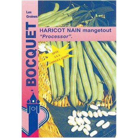 Haricot mangetout 'Processor' le sachet de 250 graines (100g)