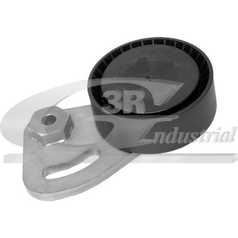 3RG 13119 RODILLO TENSOR