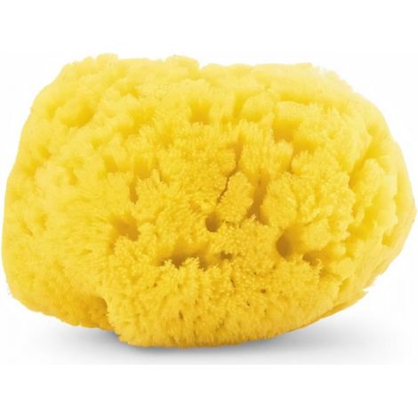 CHICCO Eponge de mer 100 % naturelle (1/2)