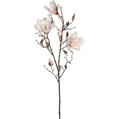 Magnolia Rose 88cm