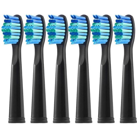 Brossettes de rechange 6 pcs noir — compatibles Fairywill D7/D8/FW507/FW508/FW551/FW2011/FW917/FW959/FW515 & Seago SG-E9 (1/5)